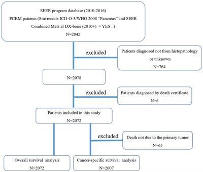 Clinicopathological Features, Prognostic Factors and Survival in Patients With Pancreatic Cancer Bone Metastasis